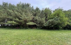 131 BROADWAY Street, Charlotte, IA 52731