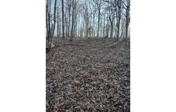 Moonshine Pass, Salem, MO 65560