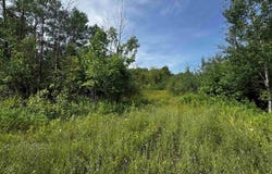 TBD Bear Town, Baraga, MI 49908