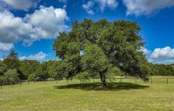 1470 South Nassau Road, Round Top, TX 78954