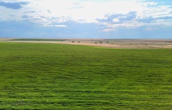 TBD Strasburg Rd, Strasburg, CO 80136