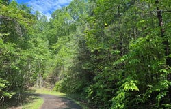 Lot 42 Meadow Brooke, Young Harris, GA 30582