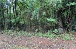 0 Southern Shores, Jackson, GA 30233