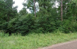 340 CR 2650, Shelbyville, TX 75973