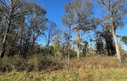 0 Locust Hill Road, Greenwood, LA 71033