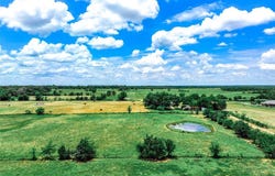 20 Acres County Road 3533, Saltillo, TX 75478