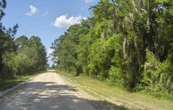 56 Airport Cir.& 56 Thomas Atkins Road, Beaufort, SC 29907