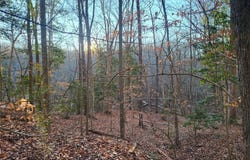 Lot 18  Beech Tree Ct, Gloucester, VA 23061