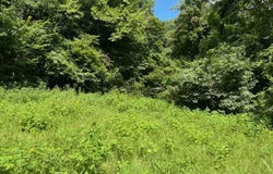 Lot 15 Long Hollow Acres, Burkesville, KY 42717