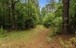 3390 Hunter Road, Kershaw, SC 29067