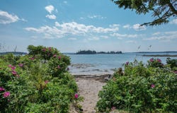397 Cape Split Road, Addison, ME 04606