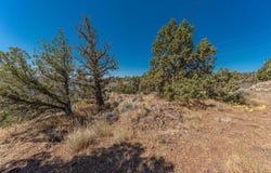 S Jasper Knolls TL7100 Drive, Prineville, OR 97754