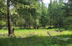 Tbd, Lot 1 Parmenter Road, Libby, MT 59923