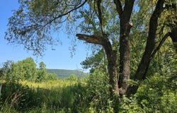 104 Gurdon Lane, Gilboa, NY 12076