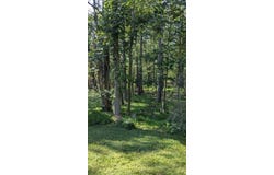 4 Horse Shoe Bend Rd, Bullskin Twp, PA 15610