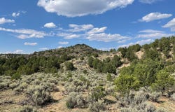 Tres Lomas, Arroyo Hondo, NM 87513