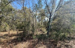 000 NE 154TH AVENUE, Williston, FL 32696