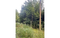 0 Rose Drive, Lawrenceville, VA 23868