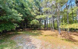 385 Elbert Baskins Rd, Cheraw, SC 29520