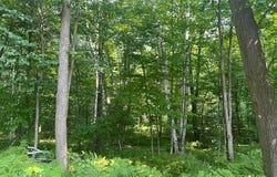 On HWY 55, Pearson, WI 54462