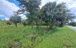 1238 Anvil Way, Moore Haven, FL 33471