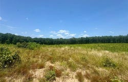 0000 County Road 4307, De Kalb, TX 75559