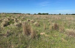 E County Road 43, Woodward, OK 73801