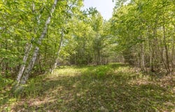 M6, L3 Beech Hill Pond Road, Dedham, ME 04429