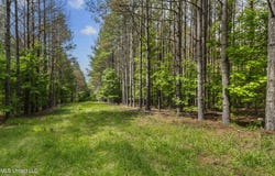 Spring Road, Flora, MS 39071