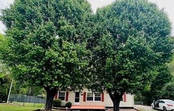 412 Beshears Owings Lane, North Wilkesboro, NC 28659