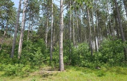 Lot 7 TWO SISTERS COURT, Stevens Point, WI 54482