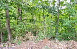 200 S Water Street, Hart, MI 49420