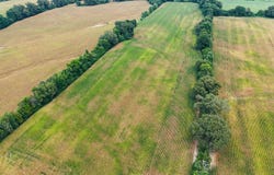 1622 SANFORD Rd, Covington, TN 38019