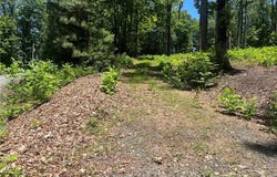 Wilderness Road, Hays, NC 28635