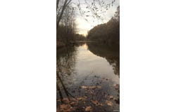 67 Madison CR 410, Fredericktown, MO 63645