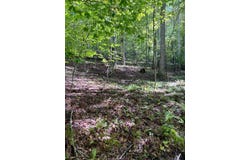 35 Meridian Lane, Hillsville, VA 24333