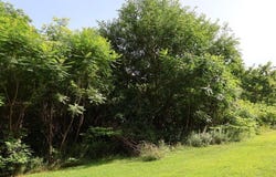 30879 M-60, Leonidas, MI 49066