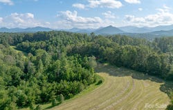 99999 Bob Wright Hill Road, Leicester, NC 28748