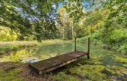299 NW Charlotte Drive, Dalton, GA 30720