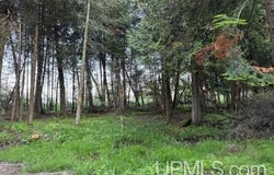 TBD Juniper AA, Rapid River, MI 49878