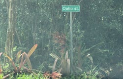 OAHU ST, Pahoa, HI 96778