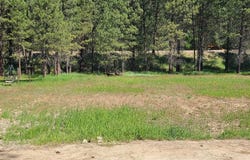 Scenic View Dr., Lowman, ID 83637-0000