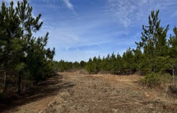 018 Dozier, Ellaville, GA 31806