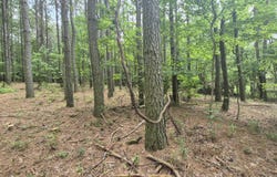 0 Raulston Falls Road, Jasper, TN 37347
