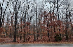 3050 TUCKAHOE ROAD, FRANKLINVILLE, NJ 08322