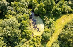 40 Two Mile Road, Branchland, WV 25506