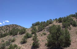 Tres Amigos, Placitas, NM 87043