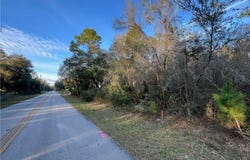 8523 N Basswood Avenue, Crystal River, FL 34428