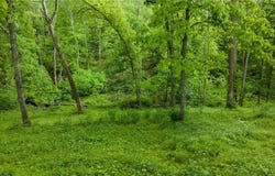 16182 Gunn Road, Lore City, OH 43755