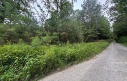 204 COUNTY ROAD 3055, Double Springs, AL 35553